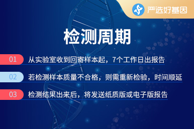 葉酸代謝基因檢測
